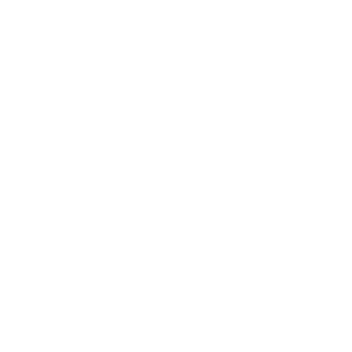 Customized Assistant